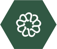 保障