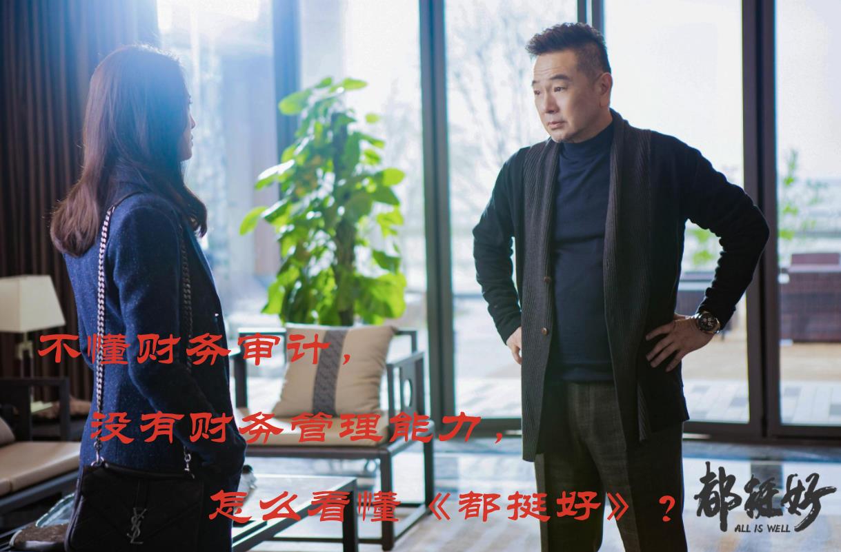 不懂财务审计，没有财务管理能力，怎么看懂《都挺好》？