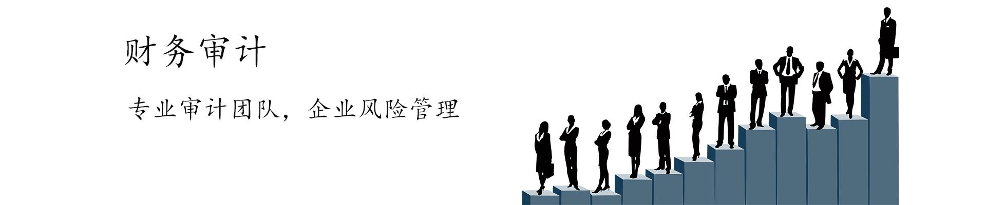 财务审计