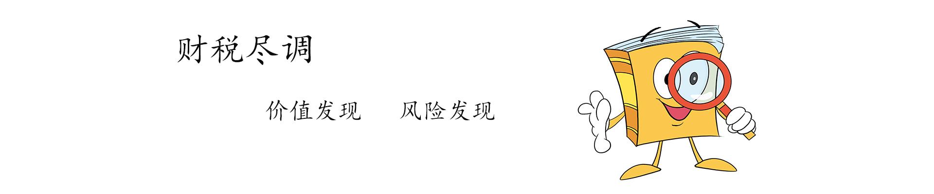 财税尽调